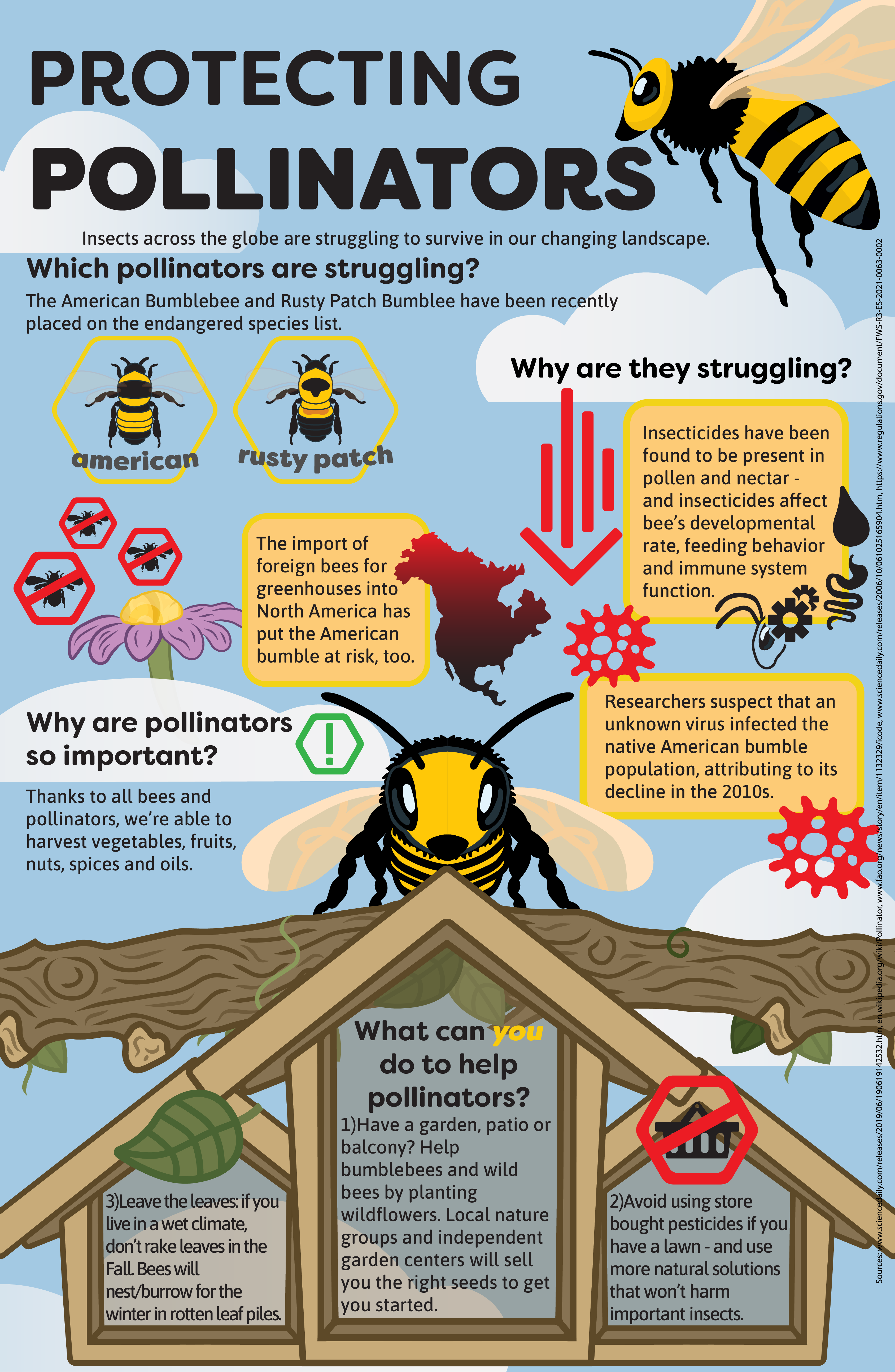 Pollinator Infographic